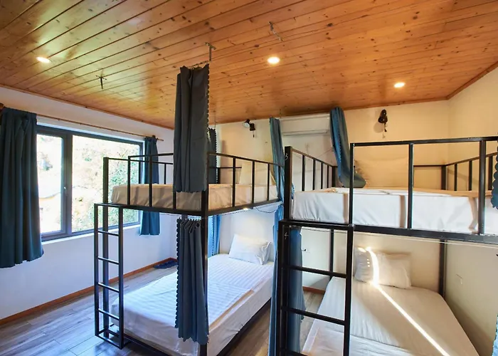 Hotel Eco By May5 - Forest & Sea View *