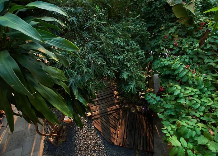 Eco By May5 - Forest & Sea View Hotel
